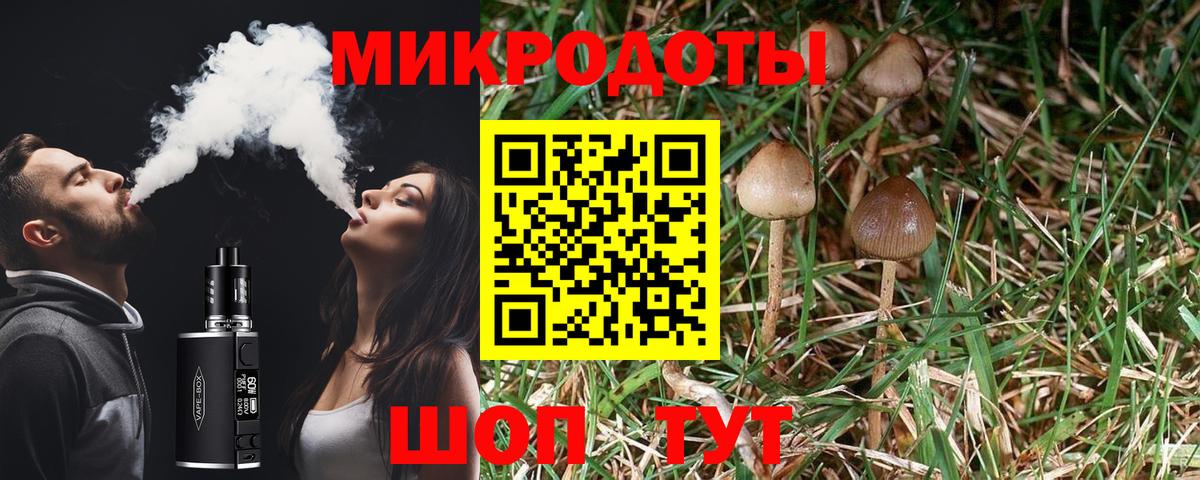 Галлюциногенные грибы MAGIC MUSHROOMS Тольятти