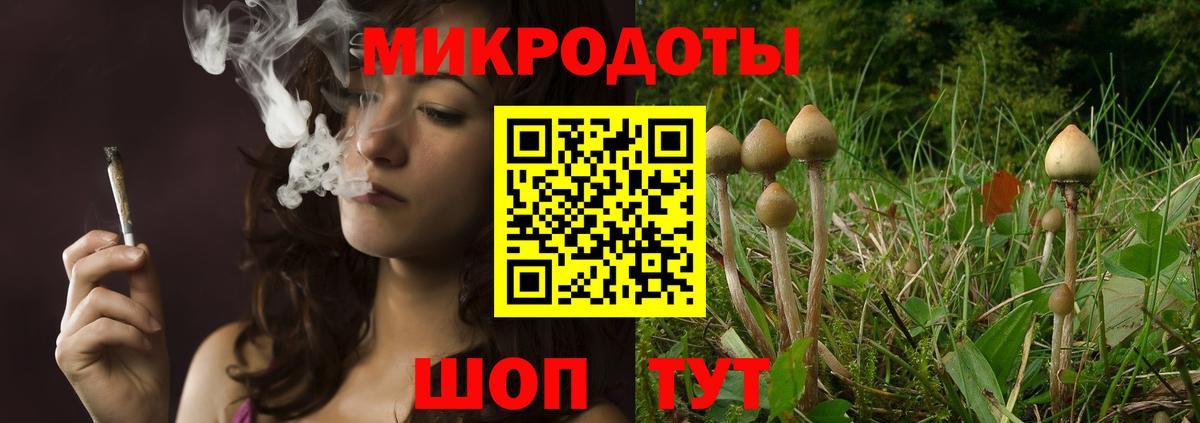 где купить   Галлюциногенные грибы MAGIC MUSHROOMS  Вход с VPN  Тольятти 